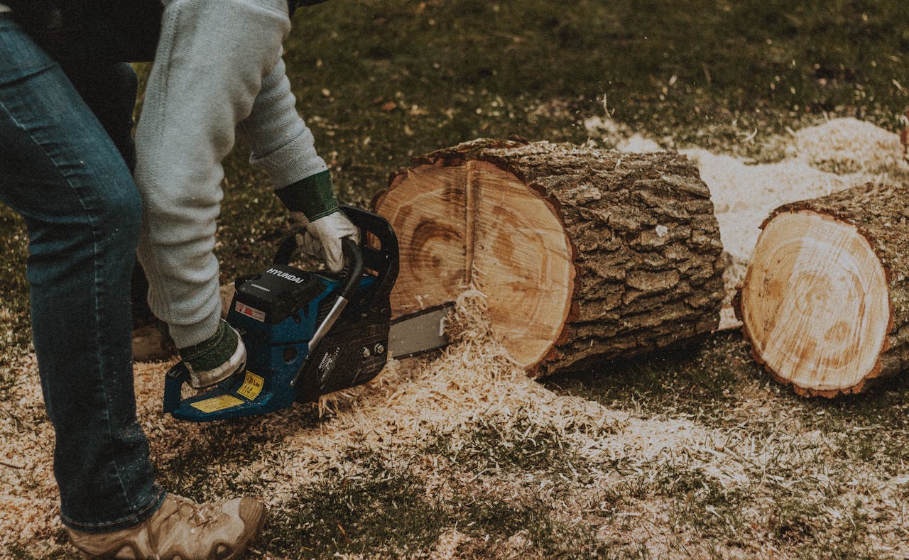 pexels-matreding-6835300