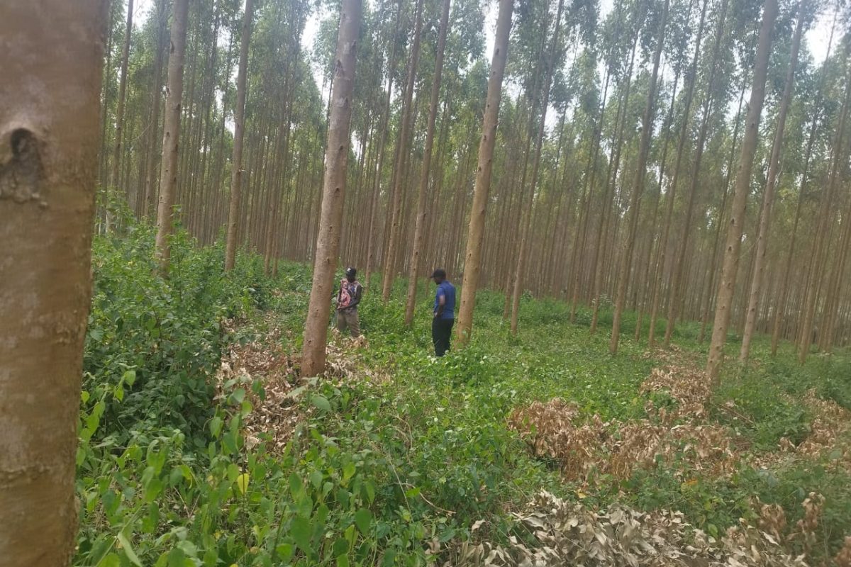 WhatsApp Image 2024-08-11 at 18.02.35