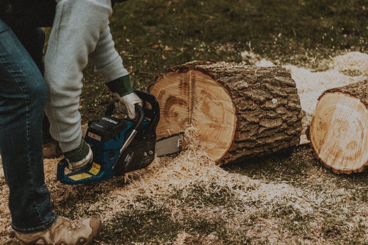 pexels-matreding-6835300